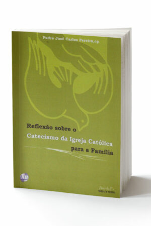 capa do livro reflexões sobre o catecismo para família