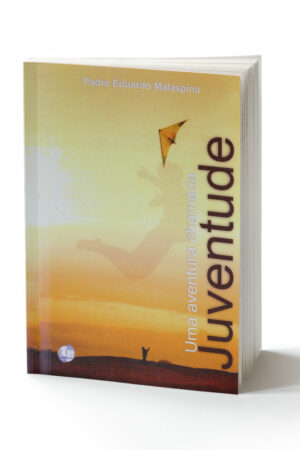 capa livro uma aventura chamada juventude